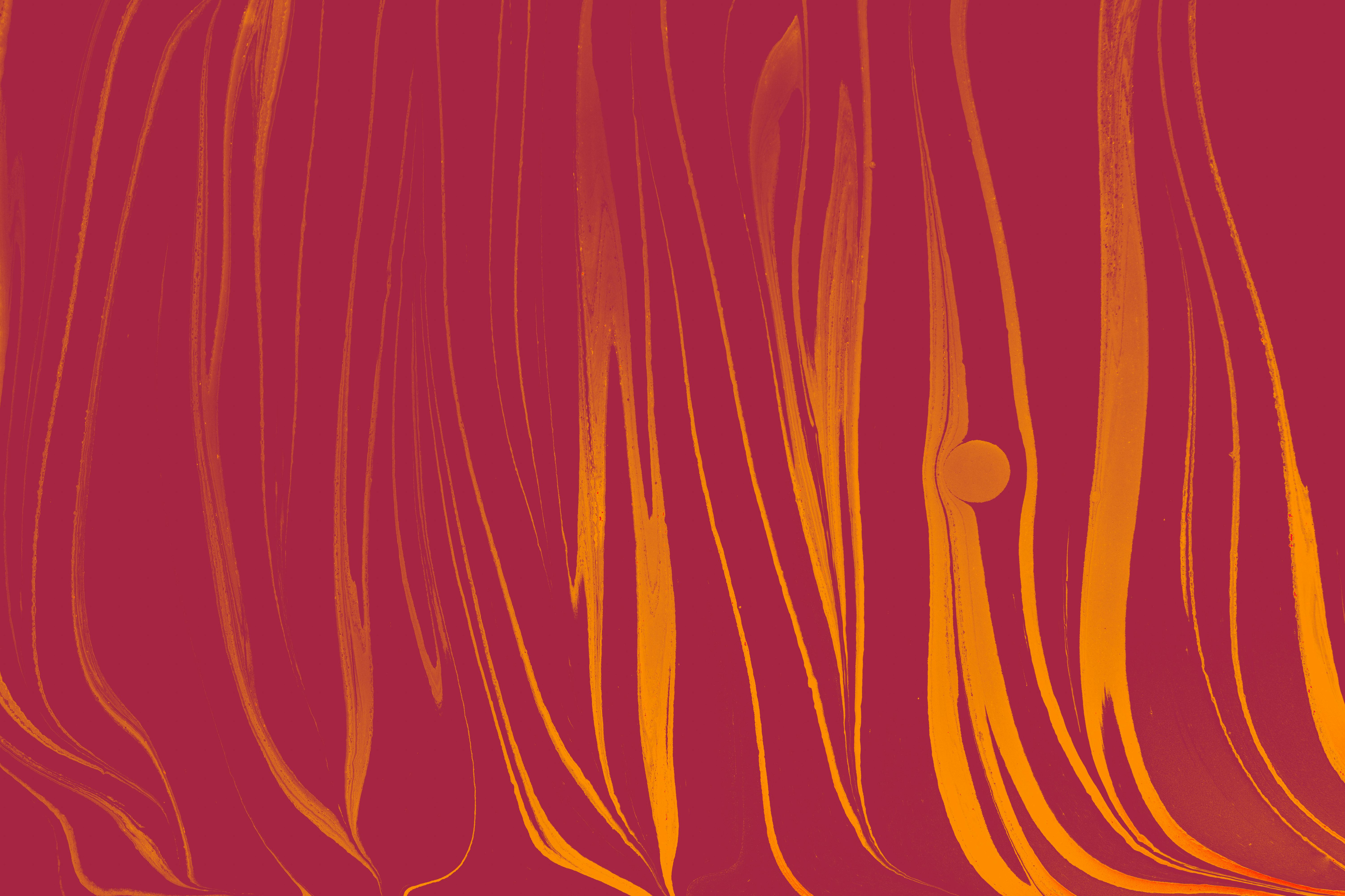 Nut Drawing Photos, Download The BEST Free Nut Drawing Stock Photos