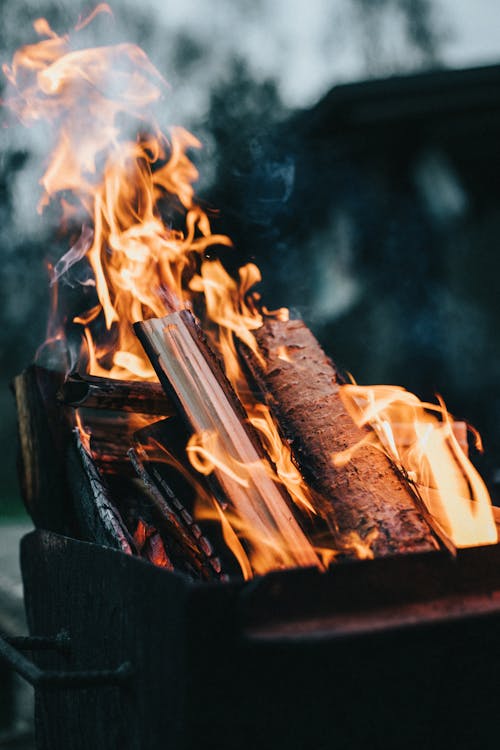 Burning Wood in Close Up Photography