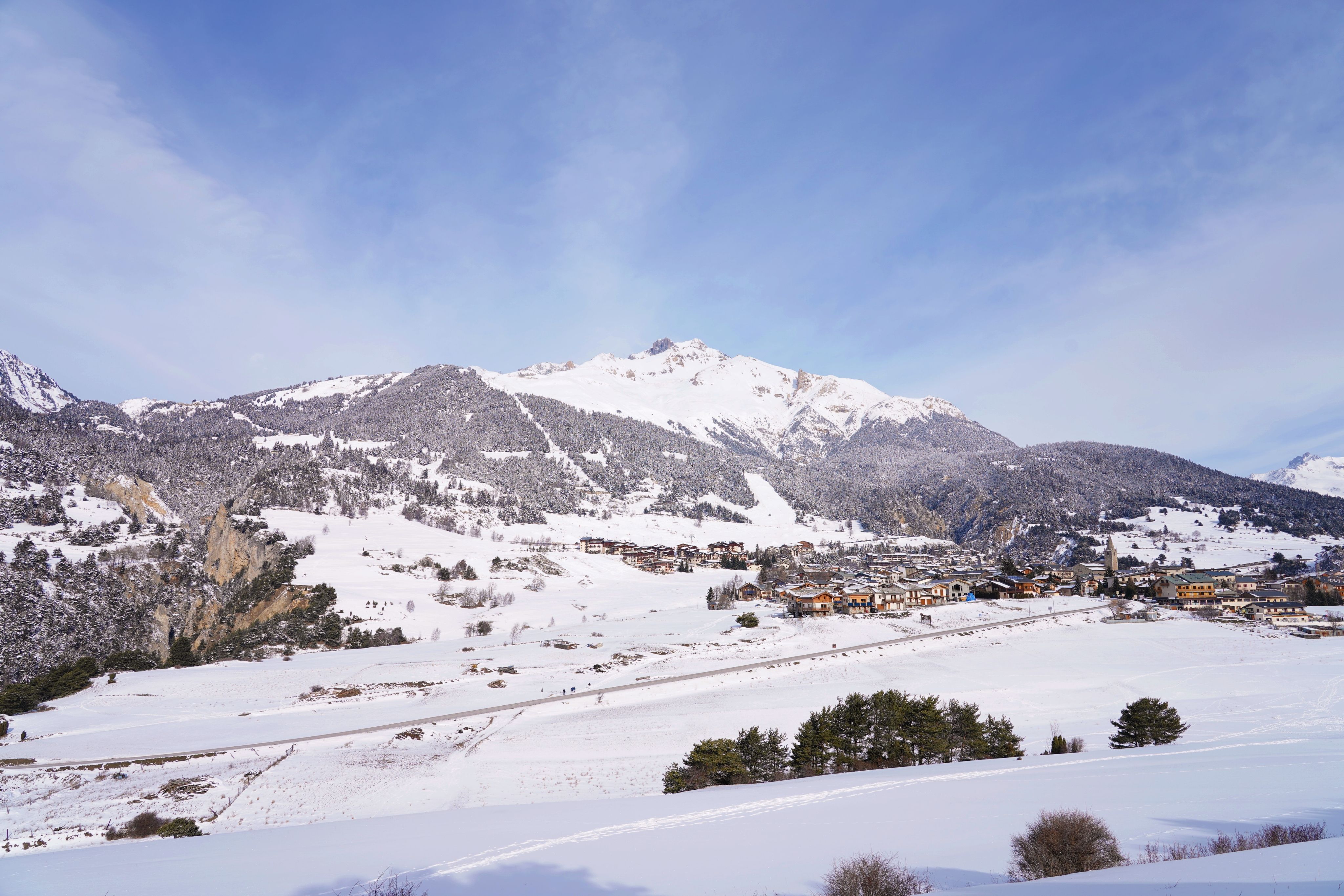 An Aerial View of a Land with Snow Covered Plants · Free Stock Photo