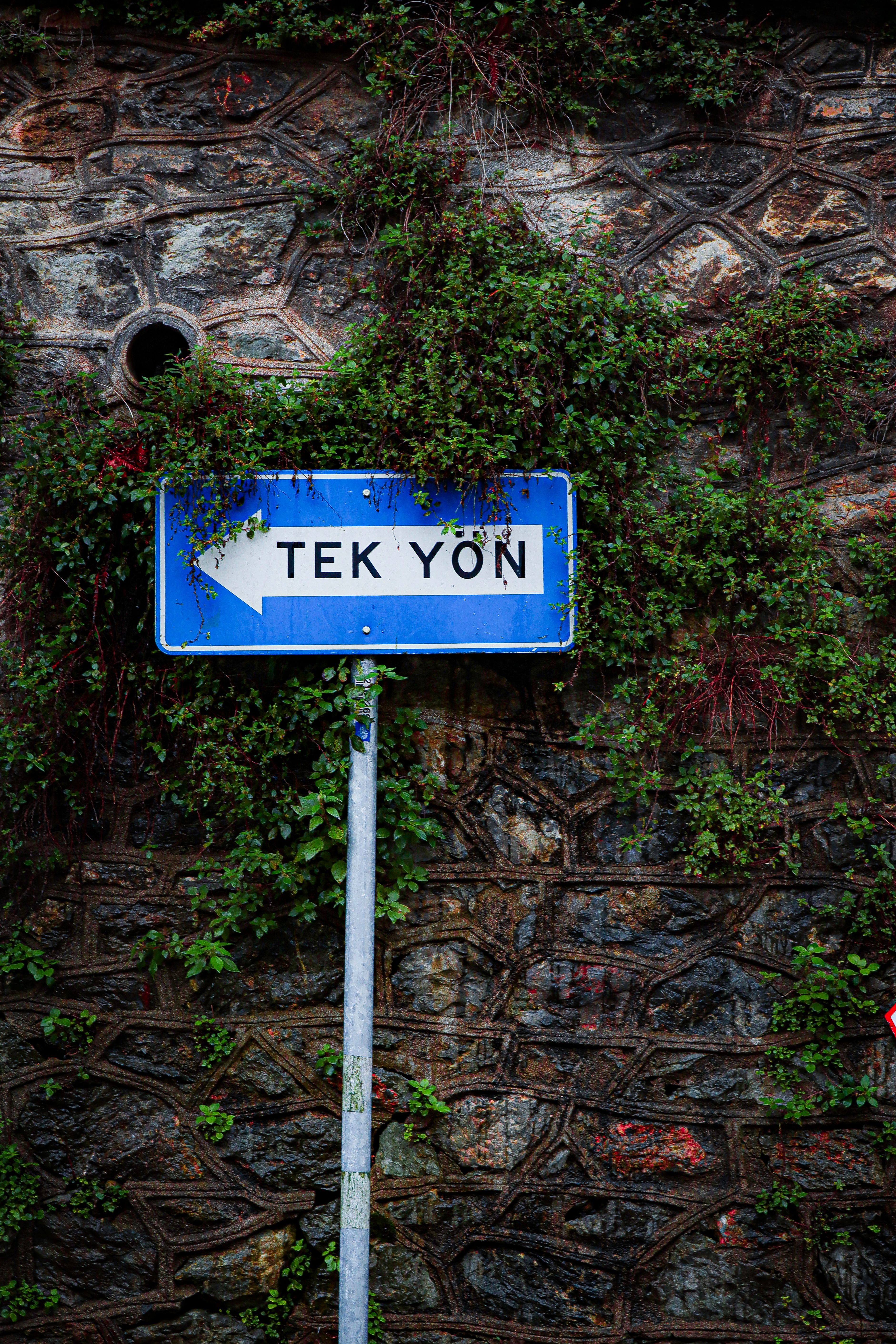 Kostenloses Foto zum Thema: architektur, beratung, beschilderung, drauen,  efeu, einweg, erkundung, europa, flora, gemeinschaft, grn, hintergrund,  historisch, istanbul, kultur, naher osten, natur, navigation, ffentlicher  raum, ffentliches zeichen ...