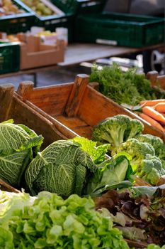 A vibrant display of fresh organic vegetables including cabbage, broccoli, and carrots at an outdoor market.
