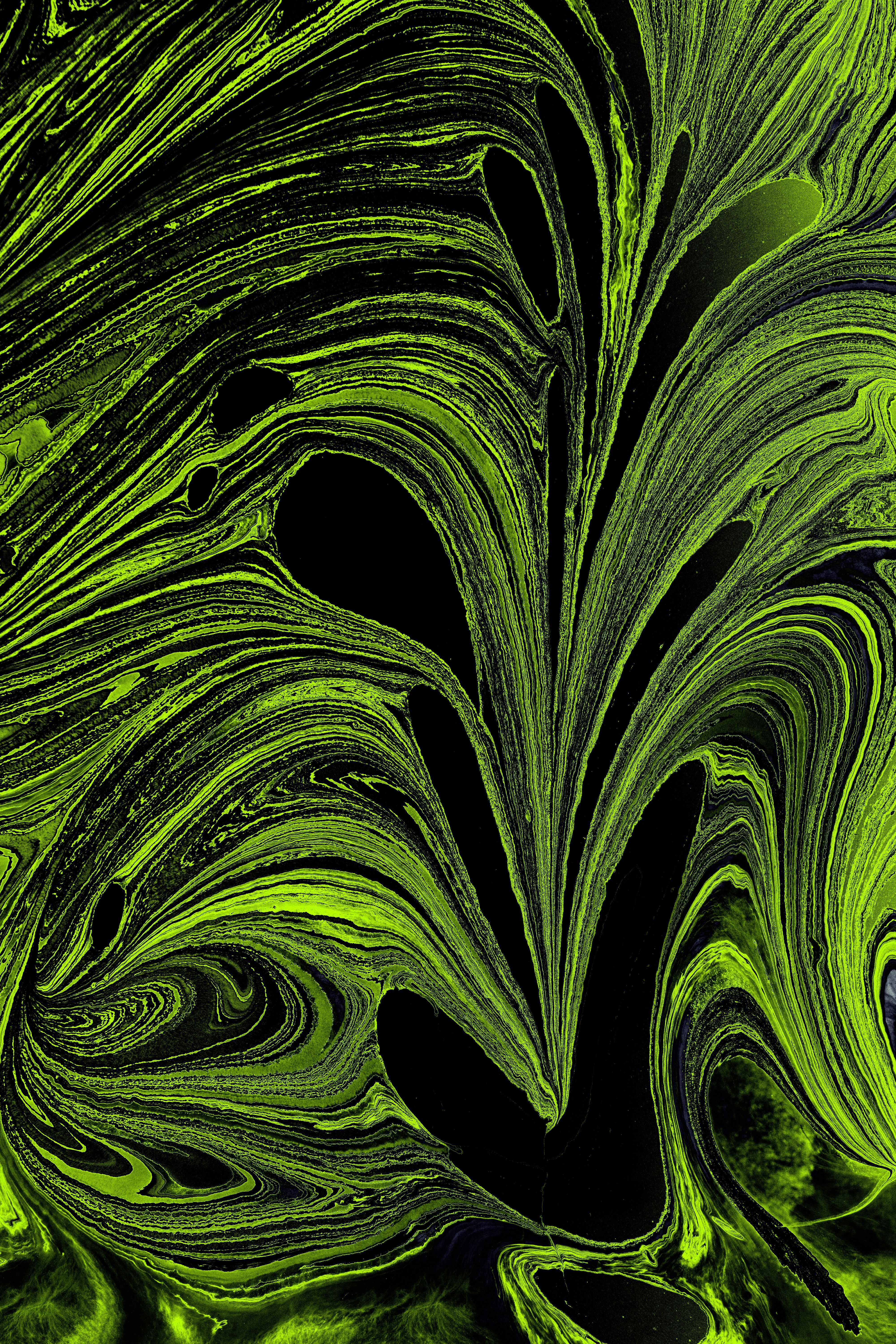 A green and black abstract painting with swirls · Free Stock Photo