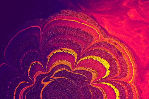 Free Dynamic abstract image of swirling paint resembling a flower in vivid pink and orange hues. Stock Photo
