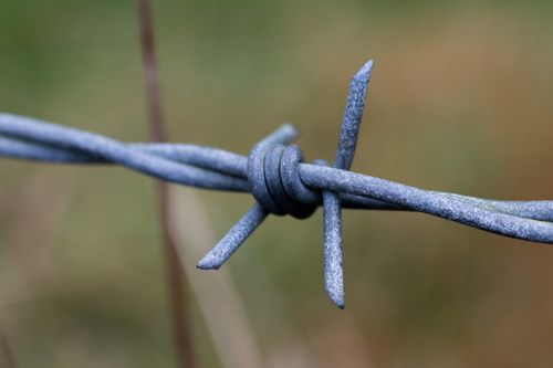 Free Barbwire Stock Photo