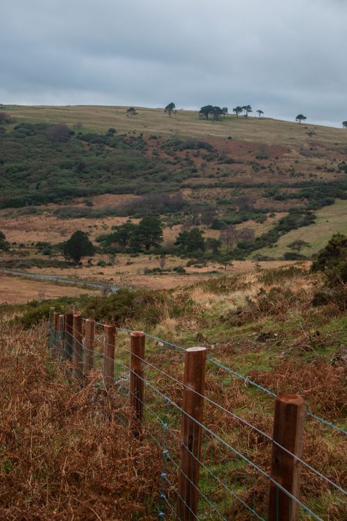 Free Fenced in Stock Photo