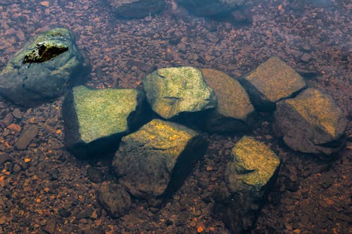 岩石, 湖, 特寫 的 免費圖庫相片