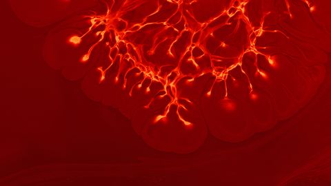 The blood-brain barrier is a selective transport system, not a wall