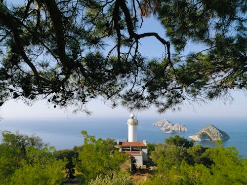 Foto d'estoc gratuïta de a l'aire lliure, aigua, arbre