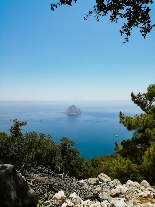 Foto d'estoc gratuïta de a l'aire lliure, aigua, arbre