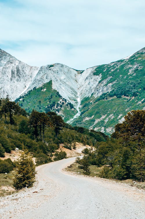 Winding Road Leading into Wilderness