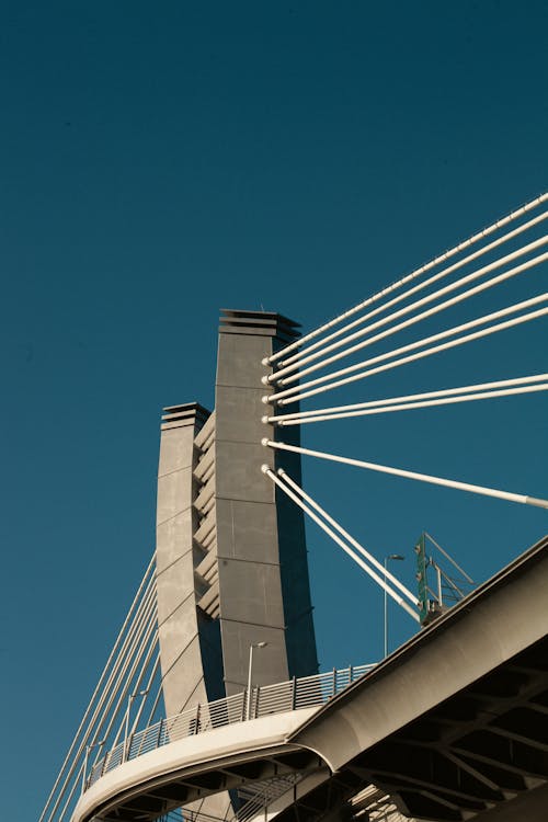 Low Angle View of a Modern Bridge 