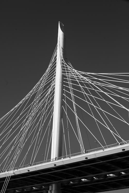 Low angle View of a Bridge 