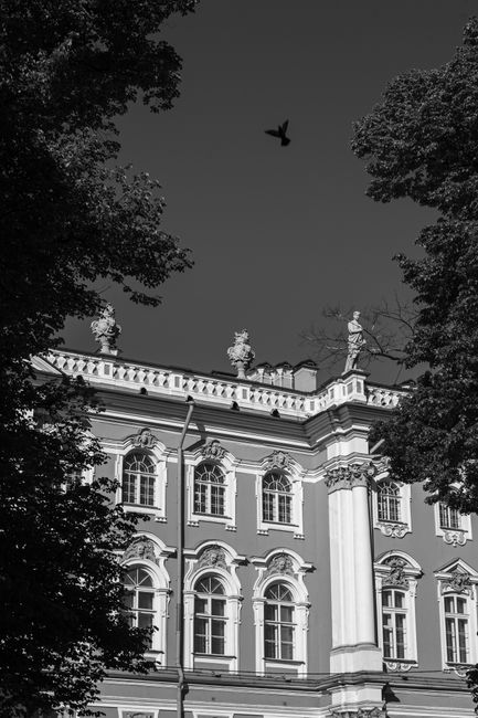 Elegant historical building with arched windows and bird silhouette, captured in grayscale.