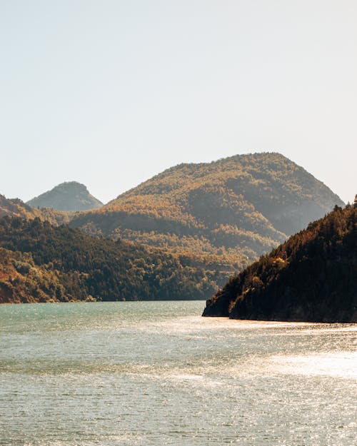 Immagine gratuita di alberi, colline, foresta