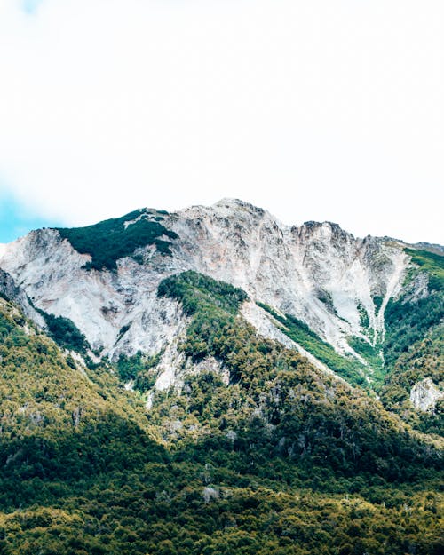 Immagine gratuita di alberi, foresta, montagne