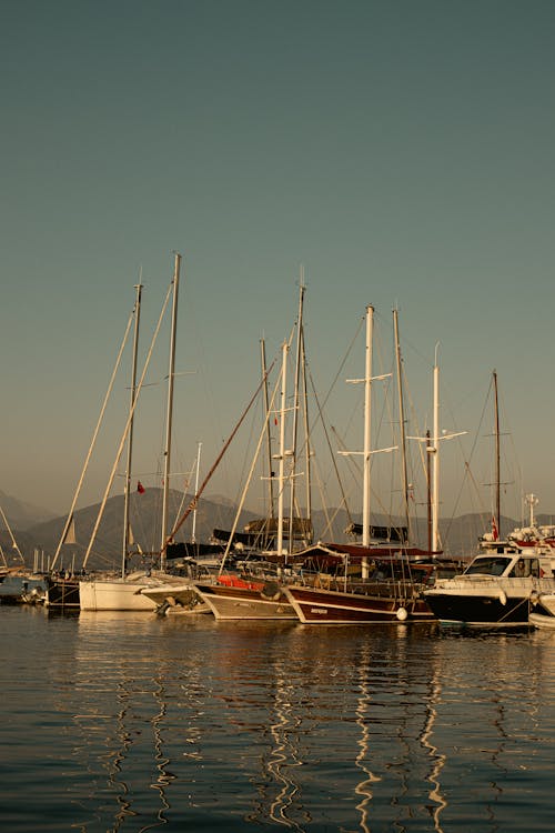 Foto profissional grátis de barcos, barcos a vela, doca