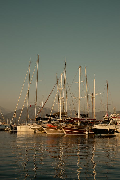 Sailboats Docked at the Marina