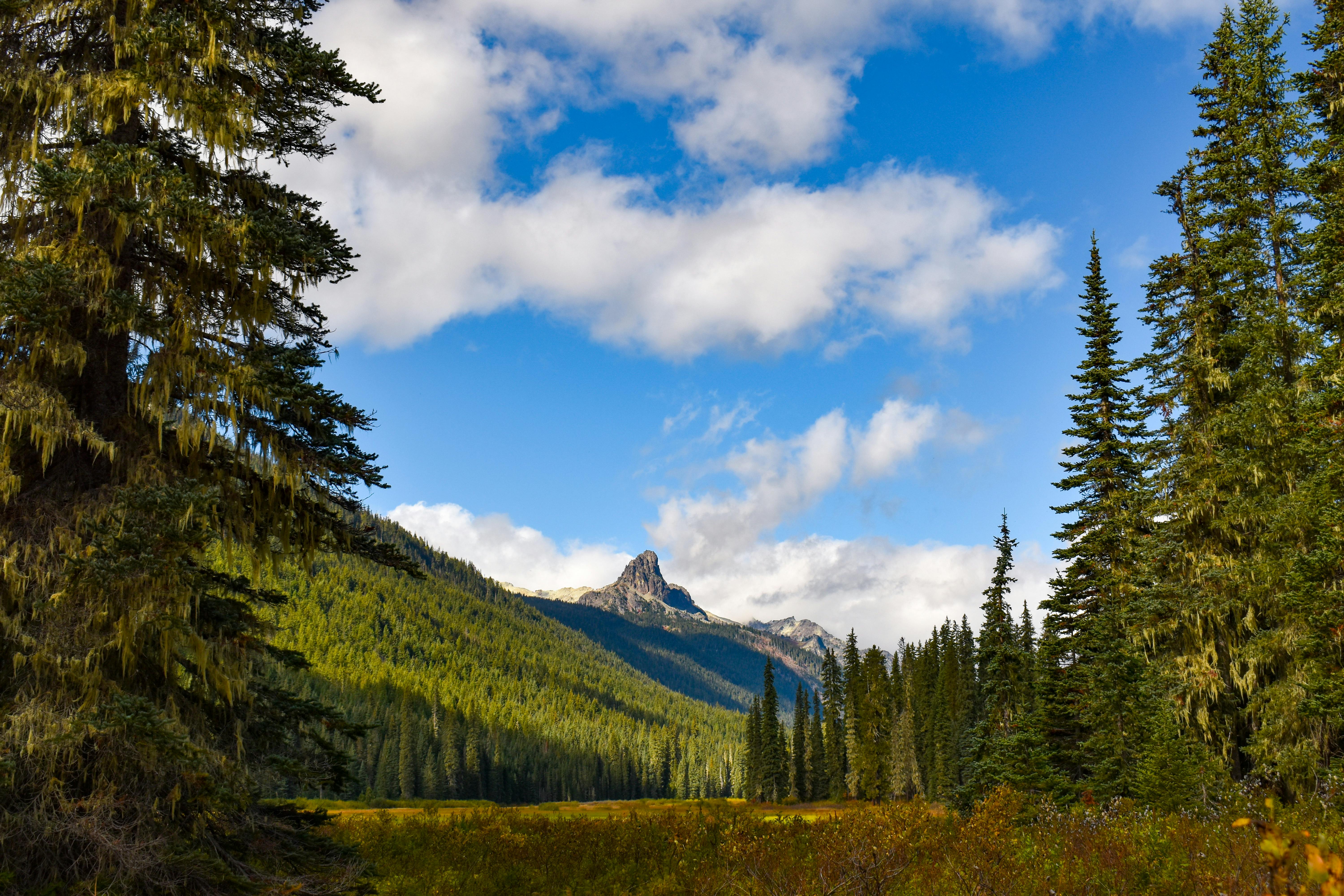 Jenna Richter - Photography