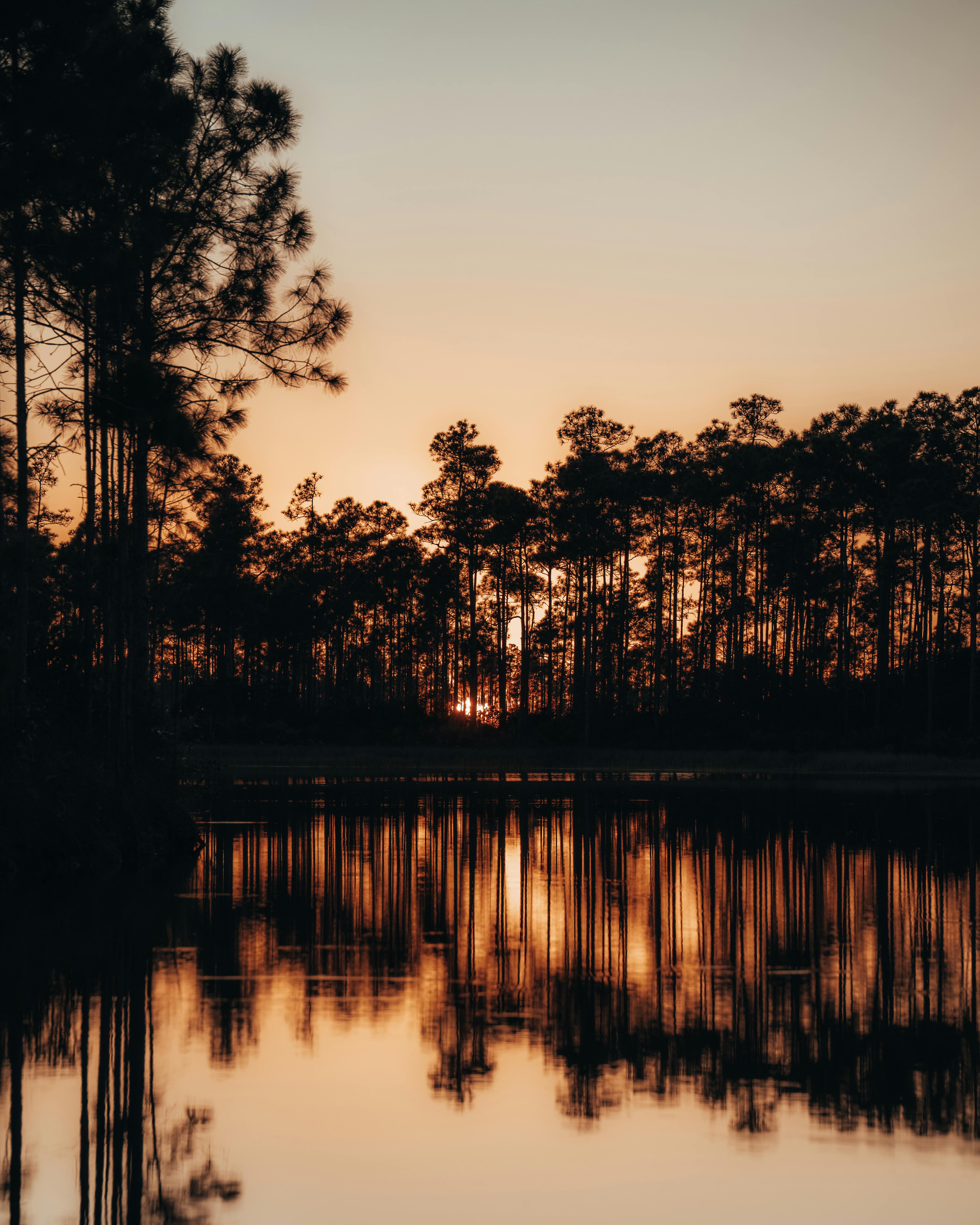 Sunrise over an Ozarks lake with pine trees and a quiet campsite