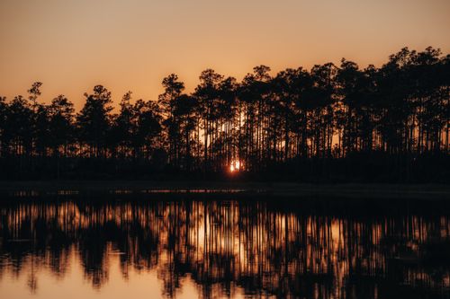 Free Silhouetted trees at sunset reflecting beautifully over a calm lake. Stock Photo