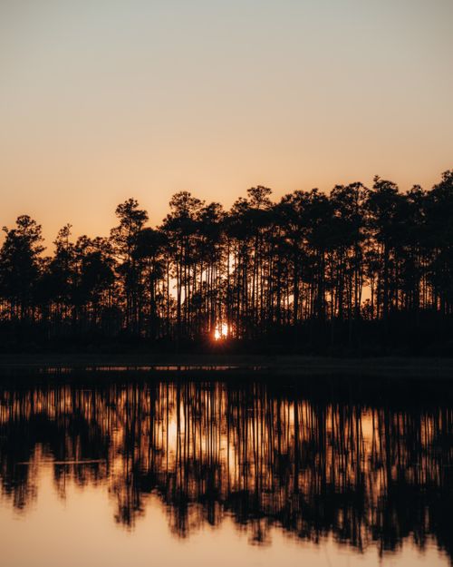 Free Peaceful sunset scene with trees silhouetted against the sky, reflecting on calm lake water. Stock Photo