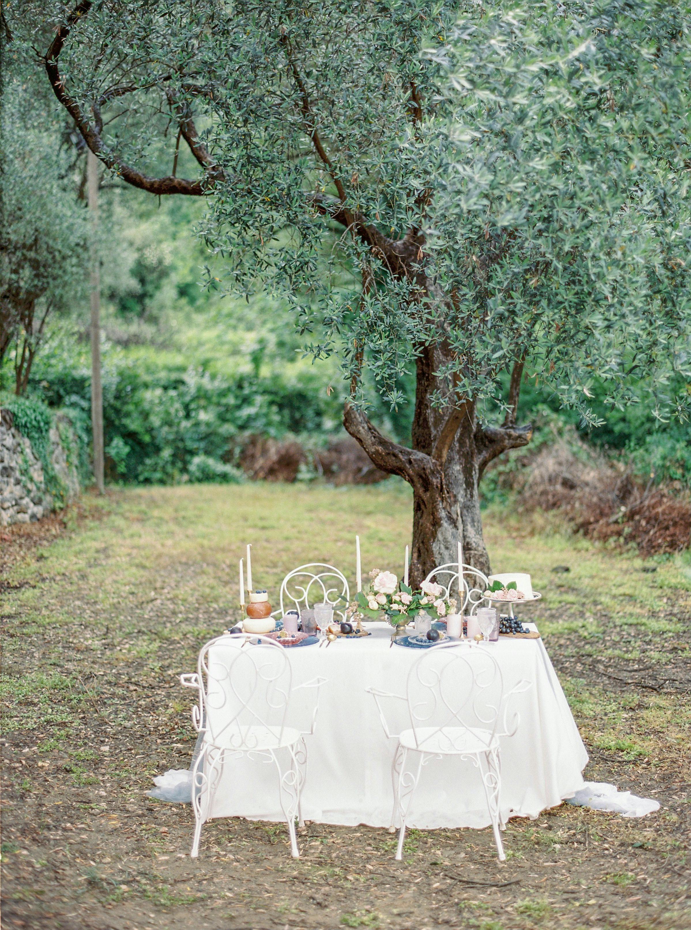 Romantic outdoor wedding table setup under trees in a serene countryside garden.