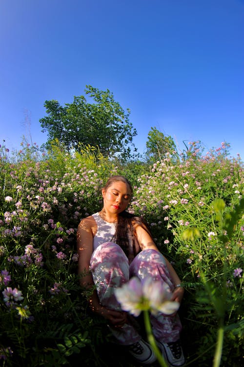 Foto stok gratis alam, berambut cokelat, bunga-bunga