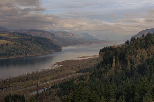 columbia gorge dog hiking