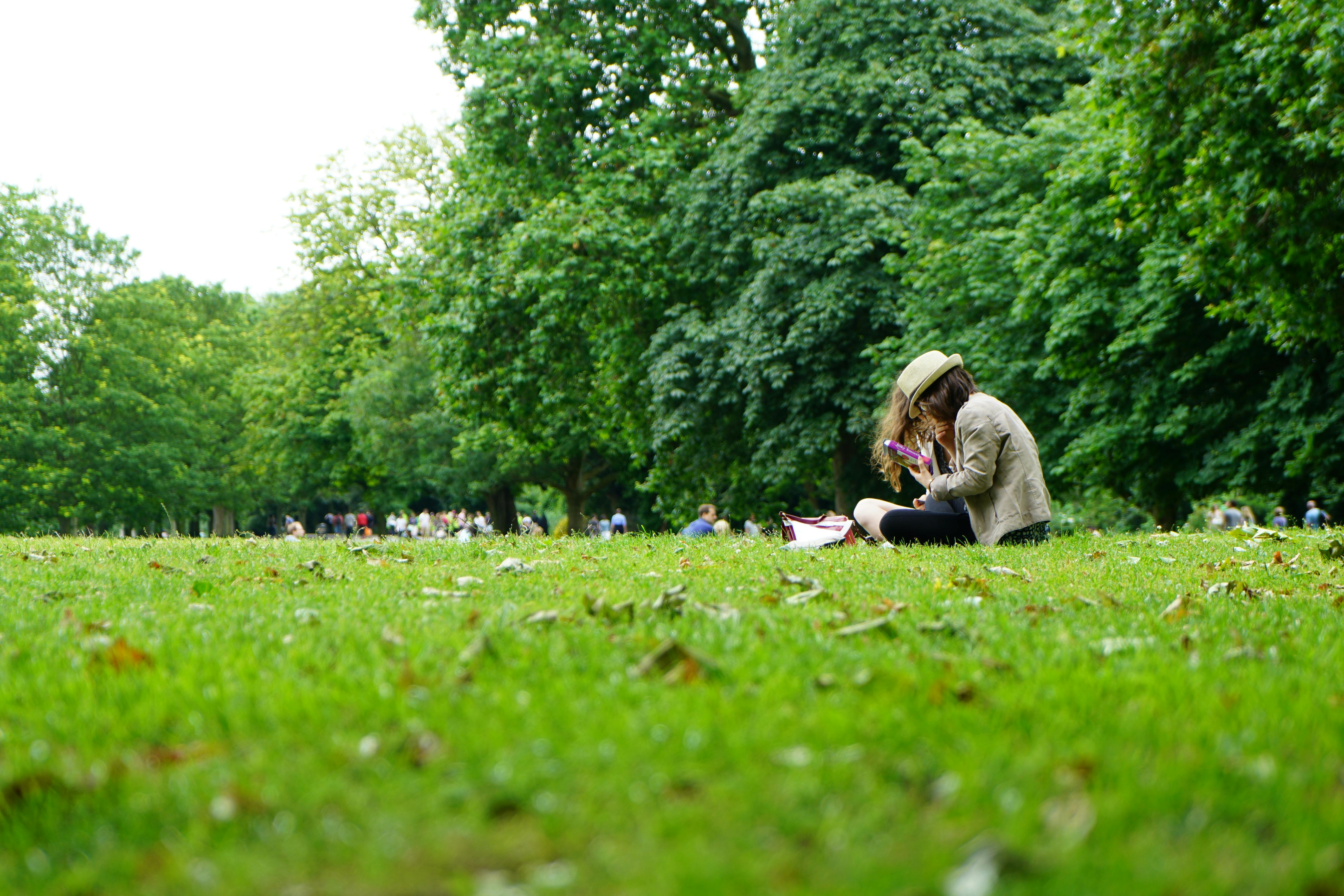 Green Park With Flowers Nature Full  Most beautiful gardens Beautiful  gardens Amazing gardens HD wallpaper  Pxfuel