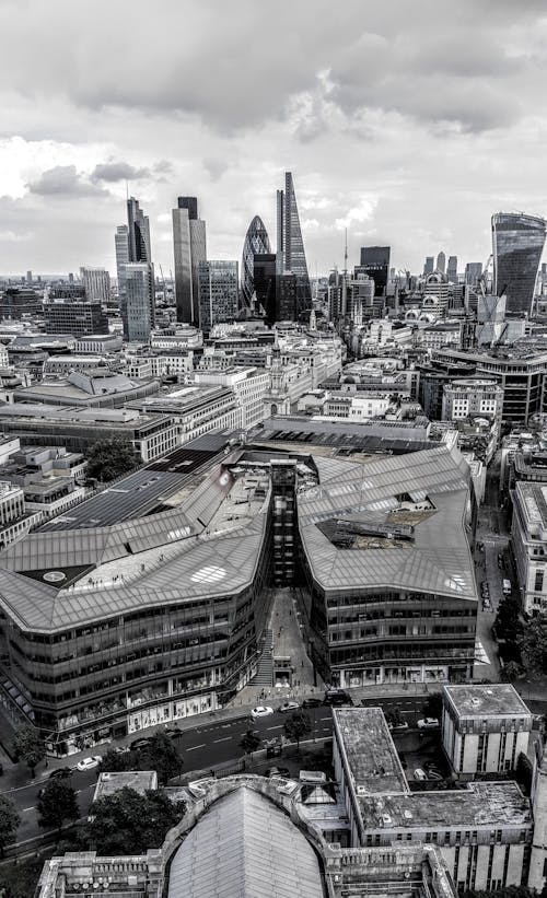 Grayscale Aerial City Skyline Photography