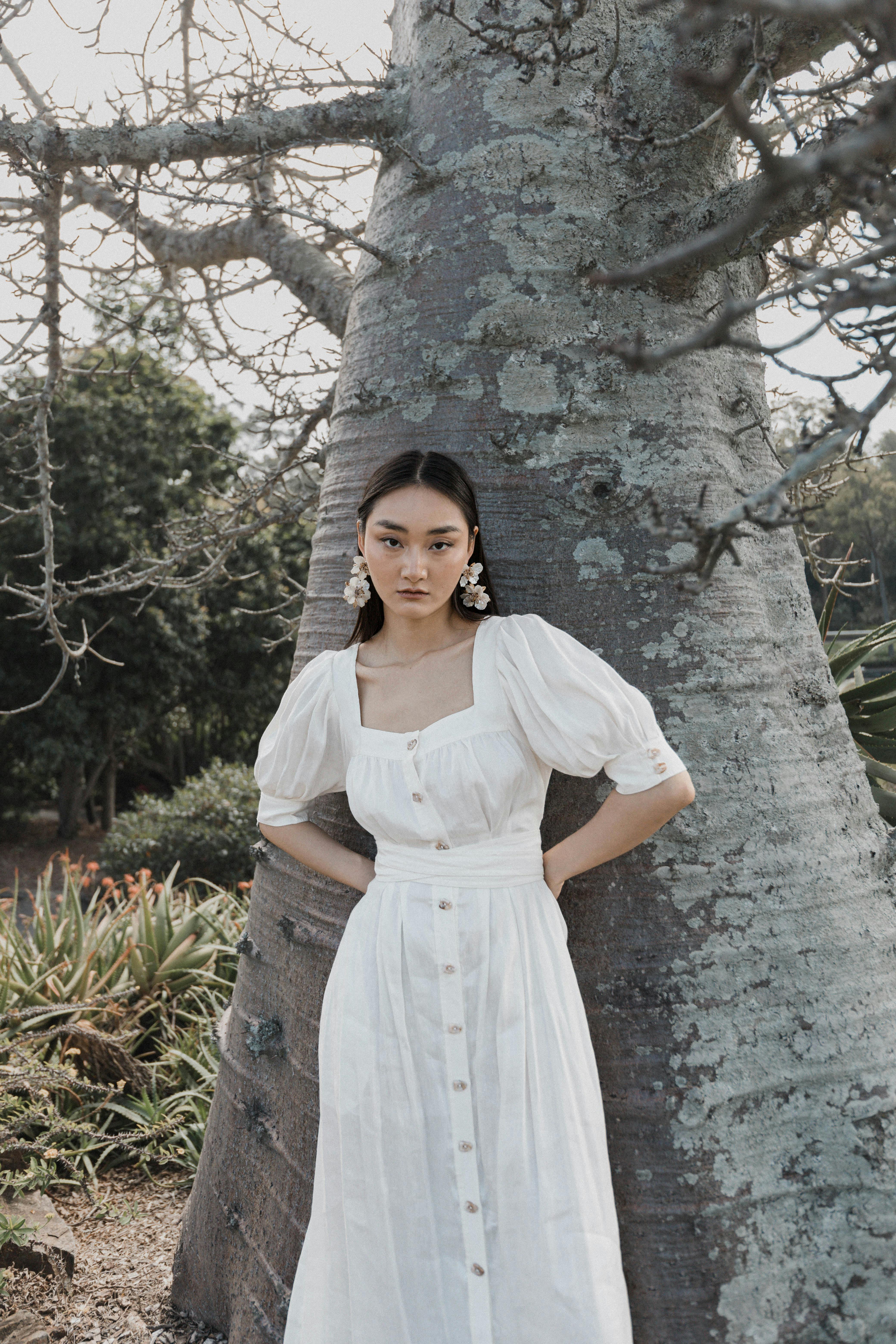 Gratis Foto stok gratis alam, alami, anggun Foto Stok