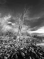 Bare Butt Beach Photos, Download The BEST Free Bare Butt Beach Stock