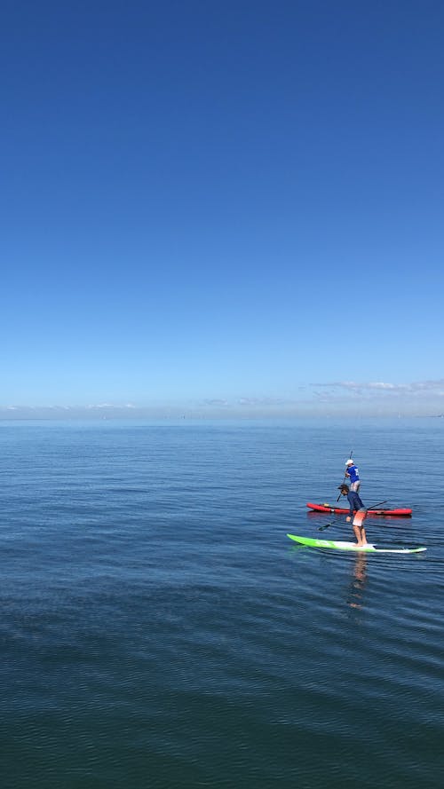 People on Paddle Boards