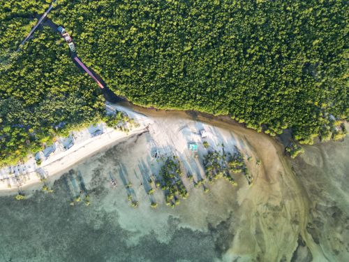 Free Drone shot capturing the stunning mangrove coastline of San Andres, Philippines. Stock Photo