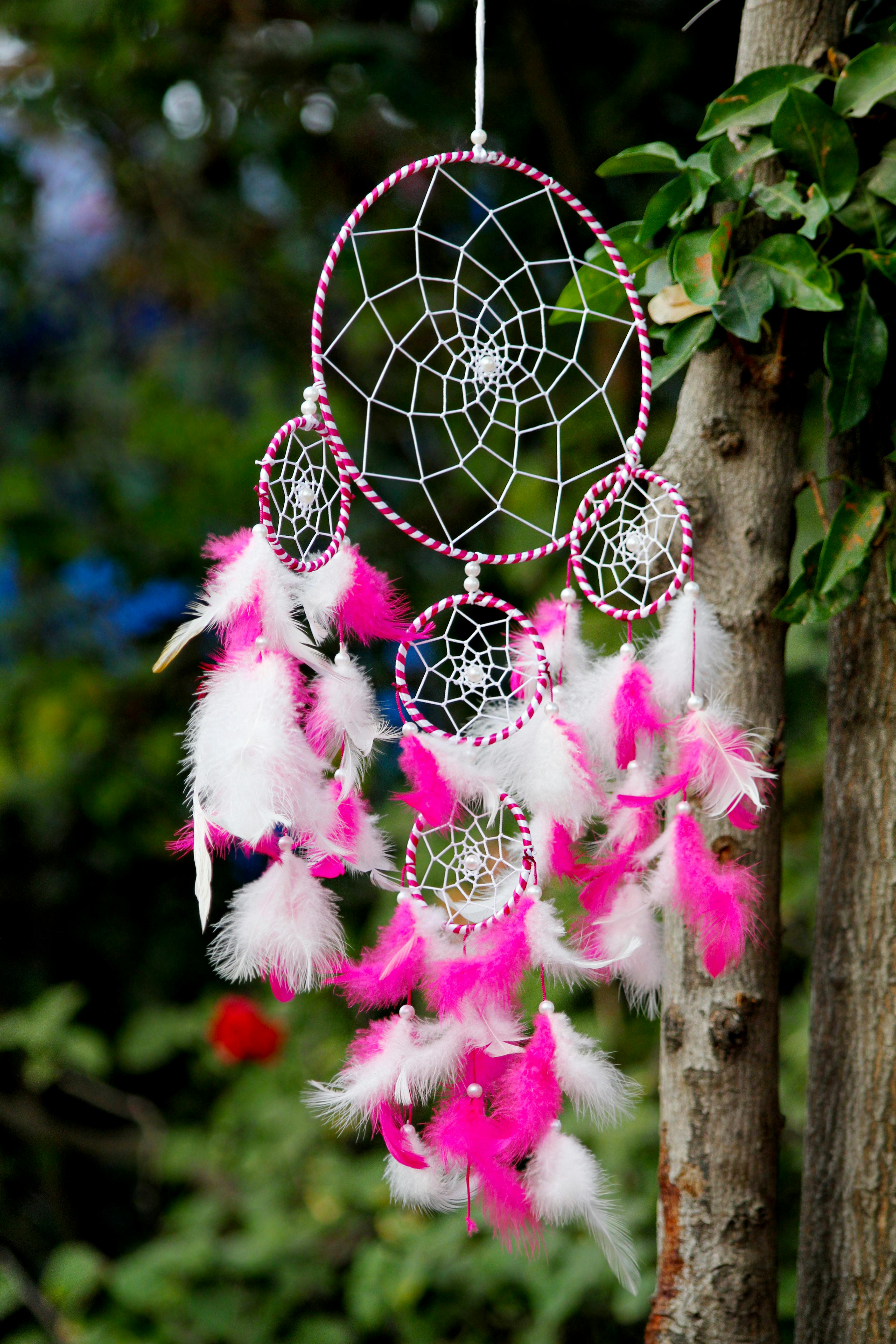 Dream Catcher Photos, Download The BEST Free Dream Catcher Stock Photos ...