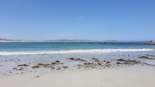 Free Beach and Nature Stock Photo