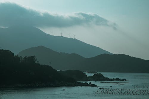 Foto d'estoc gratuïta de alba, boira, costa