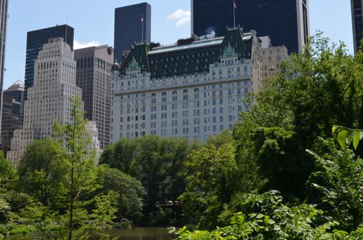 Experience the Best Luxury Hotels New York City Offers