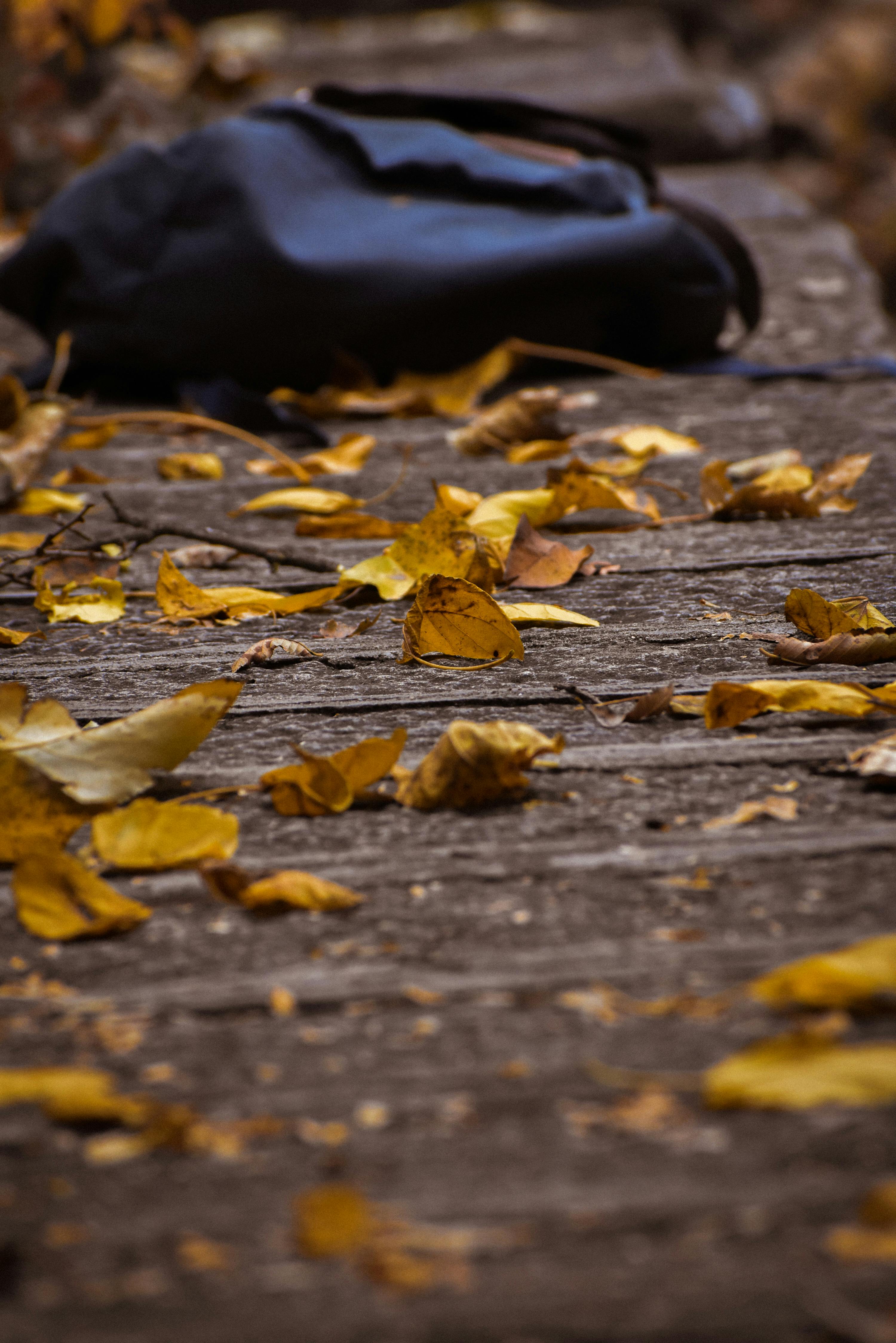 How to Bag Autumn Leaves