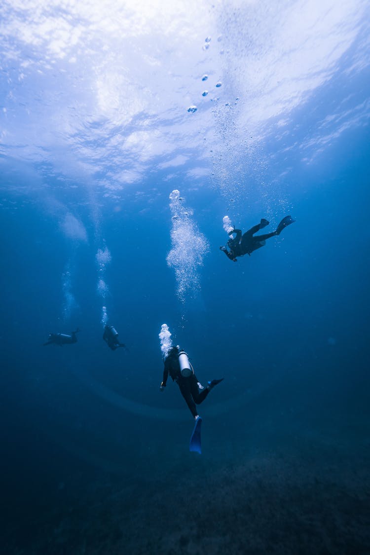 Group Of People Scuba Diving