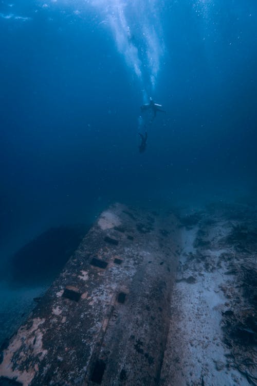 Shipwreck on Seabed