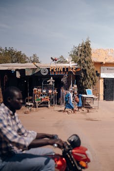 Hámster en tienda