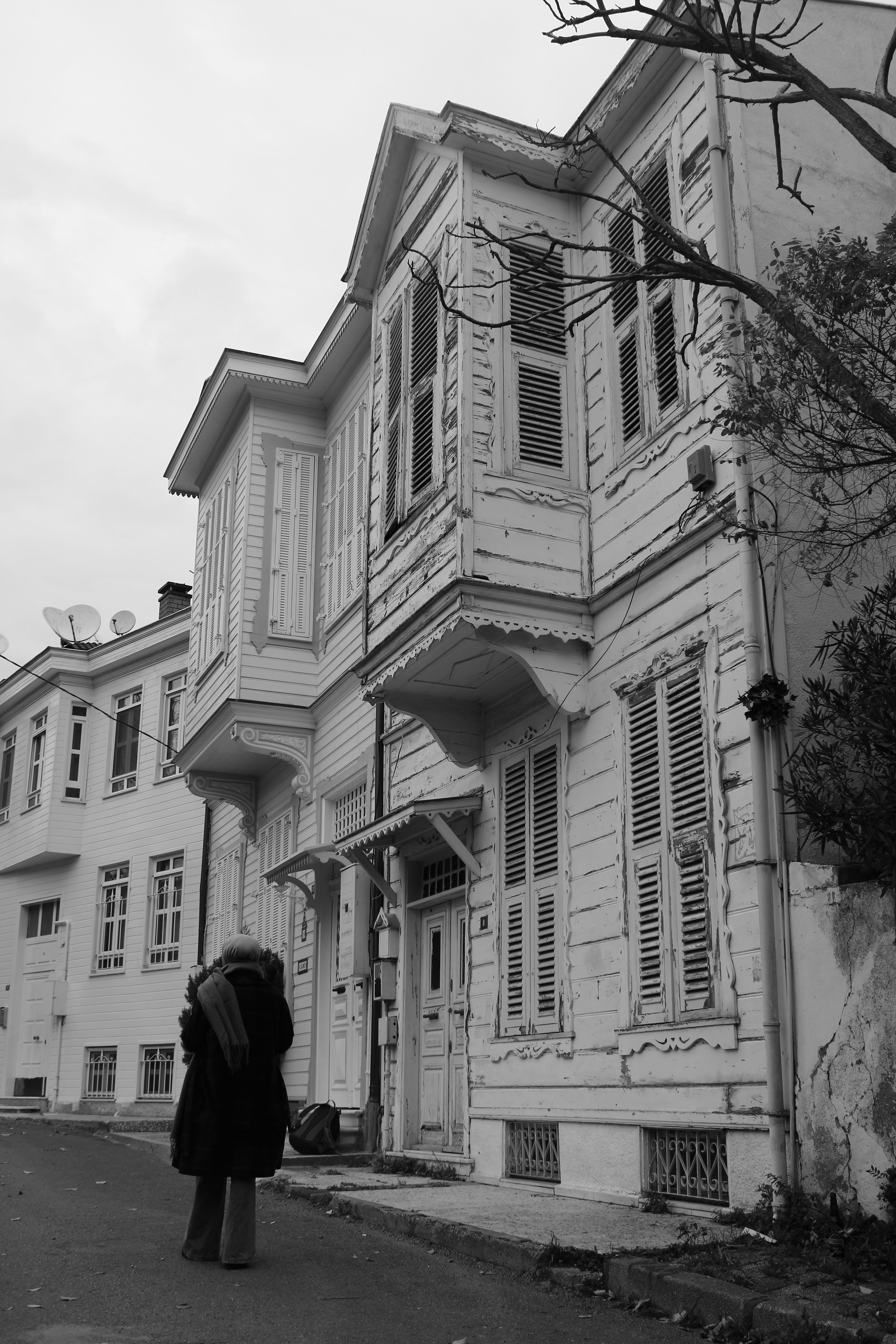 Triplex Life