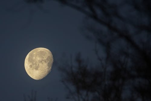 Early evening Moon 