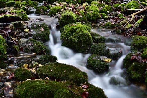 Kostnadsfri bild av idyllisk, landskap, lång exponering