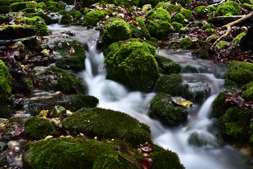 Free Serene stream flows over moss-covered rocks creating a peaceful landscape scene. Stock Photo