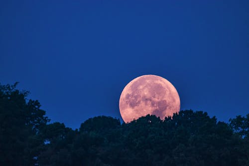 Full Moon setting