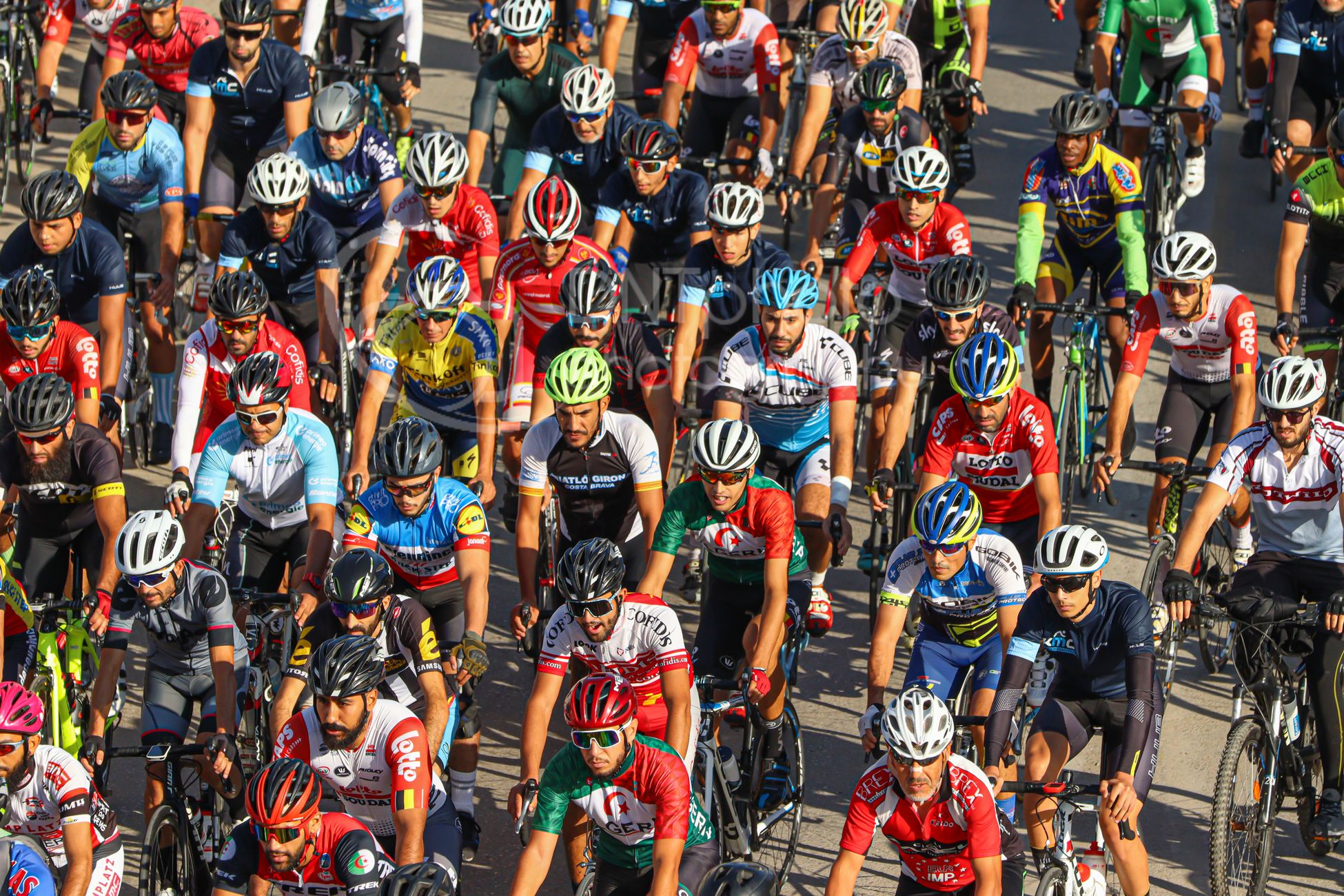 Tour 2026: Drie Belgen bij kopman Tom Pidcock op Pinarello-Q36.5