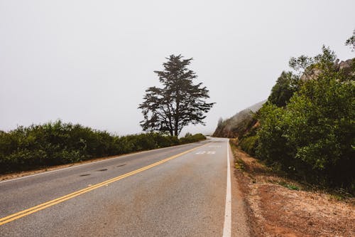 Free stock photo of empty road, fog, foggy