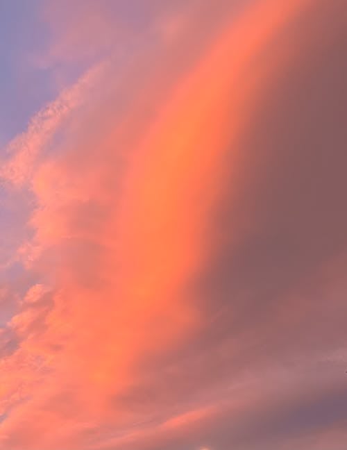 Foto stok gratis awan, Jeruk, langit yang dramatis